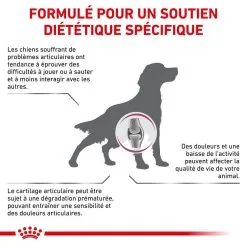 Royal Canin Veterinary Diet Royal Canin Vet Chien Mobility Support 7 Kg 8 Royal Canin Veterinary Diet Royal Canin Vet Chien Mobility Support 7 Kg -nourriture pour chien Ventes 2023 royal canin veterinary dog mobility support2