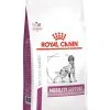 Royal Canin Veterinary Diet Royal Canin Vet Chien Mobility Support 7 Kg -nourriture pour chien Ventes 2023 royal canin veterinary dog mobility support 7 kg