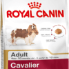 Royal Canin Breed Health Nutrition Royal Canin Cavalier King Charles Adult 3 Kg