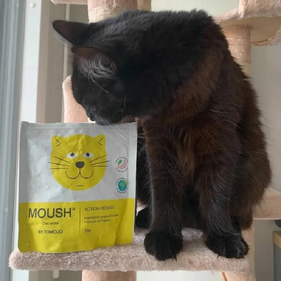 Tomojo Moush Friandises Action Rénale Chat 70 G 4 Tomojo Moush Friandises Action Rénale Chat 70 G – Image 2