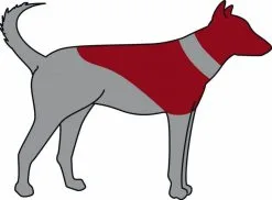 Trixie Carcan Gonflable Pour Chien M-L -nourriture pour chien Ventes 2023 trixie carcan gonflable pour chien m l3