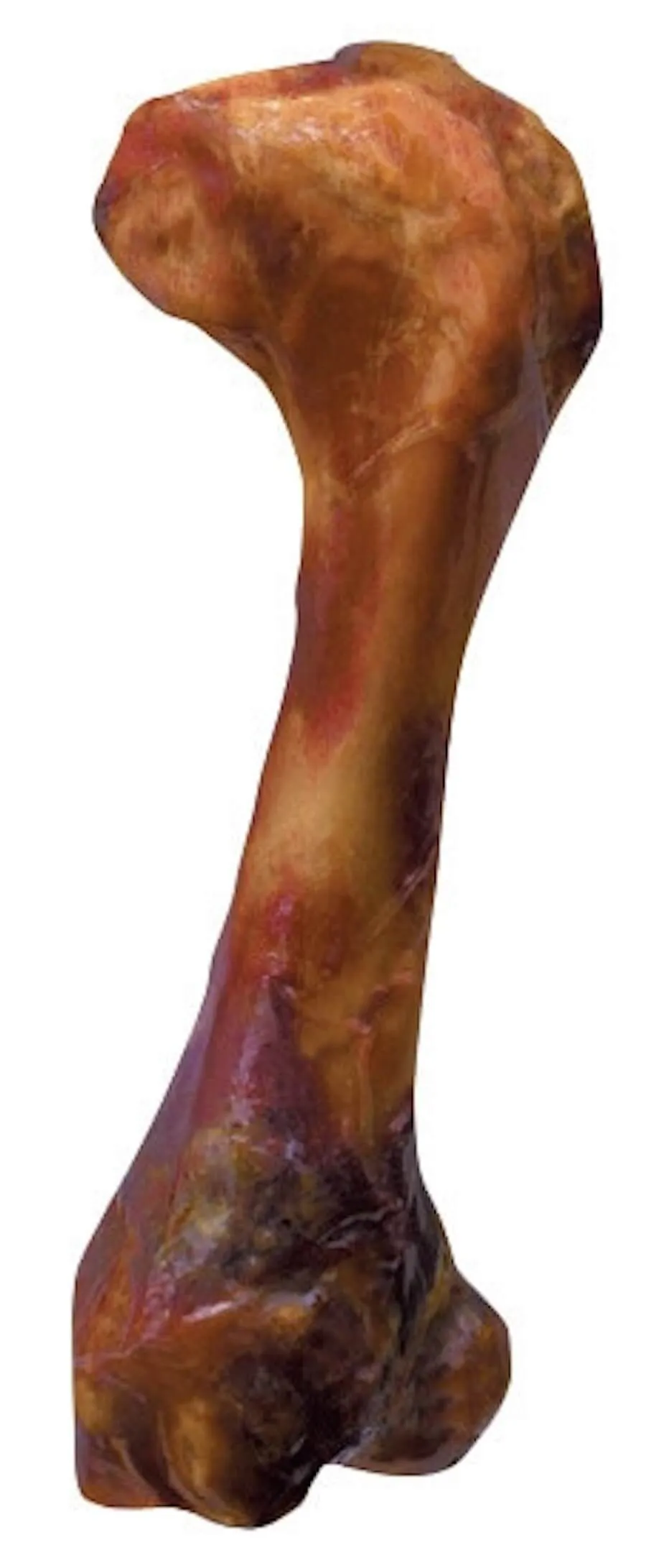 Zolux Os De Jambon 4 Zolux Os De Jambon – Image 2